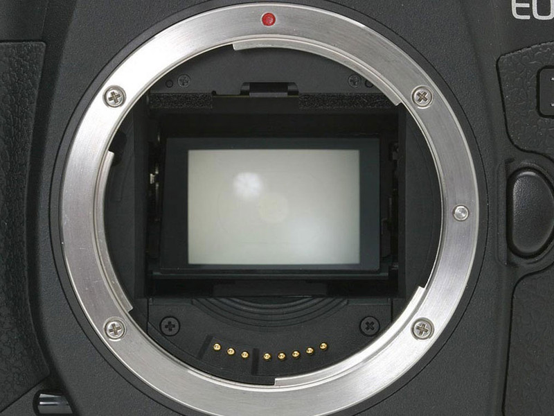 ���ܣ�Canon��EOS-1Ds Mark IIͼƬ���� ��24�� -ZOL�йش����ߵ�24��