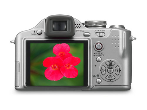 ���£�Panasonic��FZ8GKͼƬ���� ��2�� -ZOL�йش����ߵ�2��