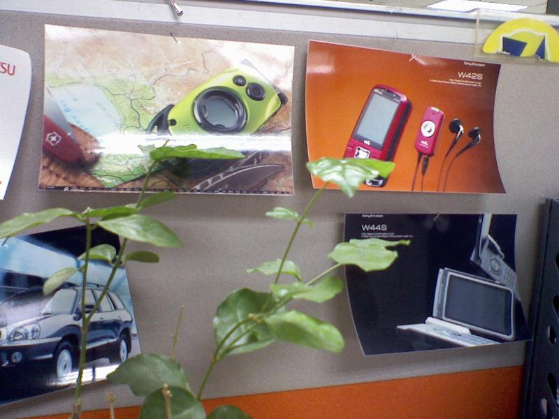 Q��T��200��AF LG��ɫ�ɿ���KG90n����ͼƬ����,ͼ21-ZOL�йش����ߵ�21��