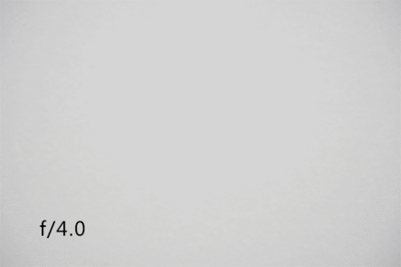 800_533gif 动态图 动图