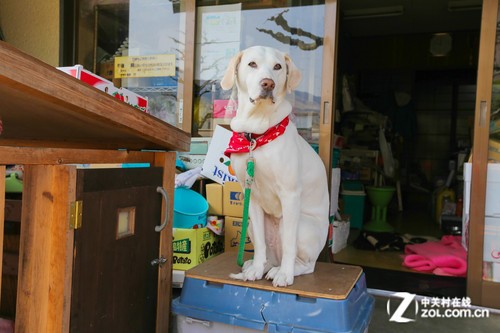 ������Ȫ֮�ã�����6D�����ձ����ݵ� 