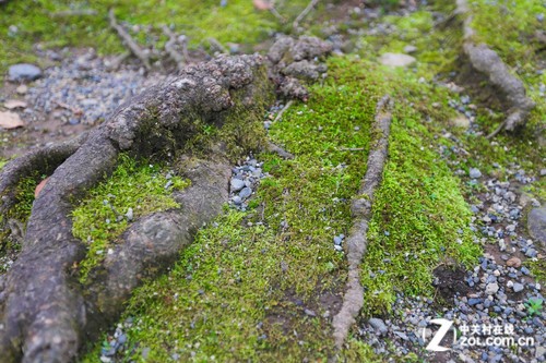 ������Ȫ֮�ã�����6D�����ձ����ݵ� 