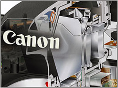 ���ܣ�Canon��40DͼƬ���� ��46�� -ZOL�йش����ߵ�46��