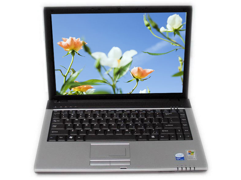 ��ϲ��HEDY��S4101 ��1��