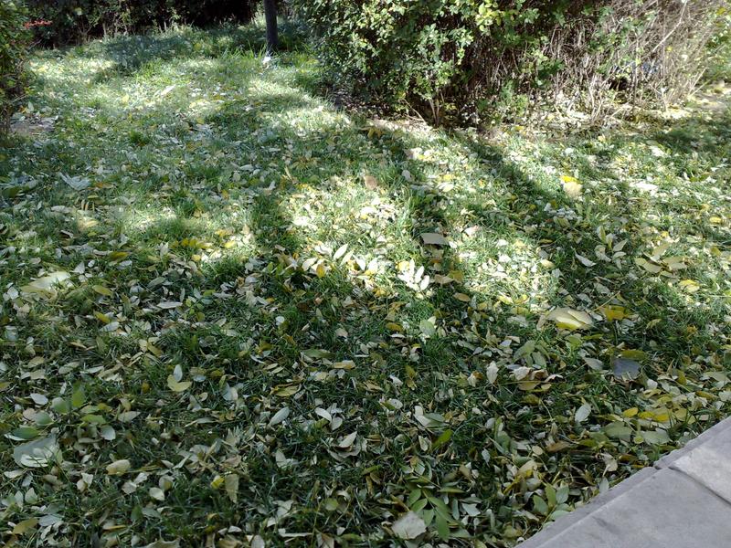 500���������ܼ�� ŵ����N82��������ͼƬ����,ͼ81-ZOL�йش����ߵ�81��