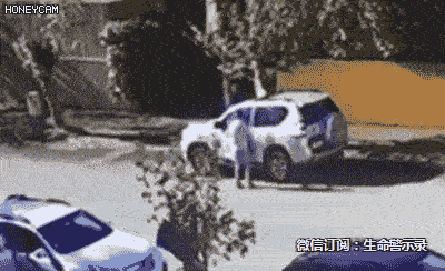 【高清图】 惊心动魄三十秒:夜间过马路被损友坑死图4