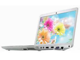 ���� ��ͼľX10U-W225