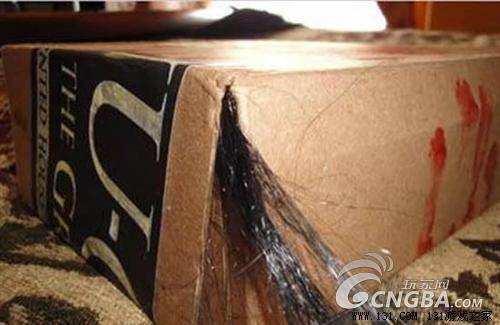 ������û���� ��ֲ��㤵���Ϸ��װͼƬ����,ͼ9-ZOL�йش����ߵ�9��