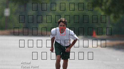 数码相机自动对焦严酷实测 佳能VS尼康-器材频道-蜂鸟网