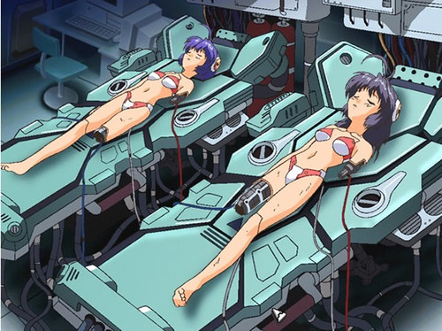 人偶情缘》系列_电脑游戏-中关村在线