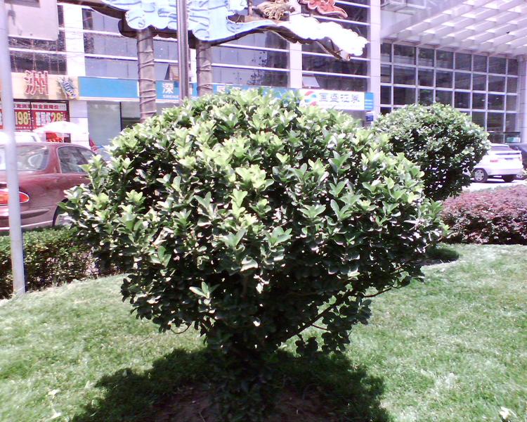 ���ɱ����Ե�Ů�� ������588��������ͼƬ����,ͼ17-ZOL�йش����ߵ�17��
