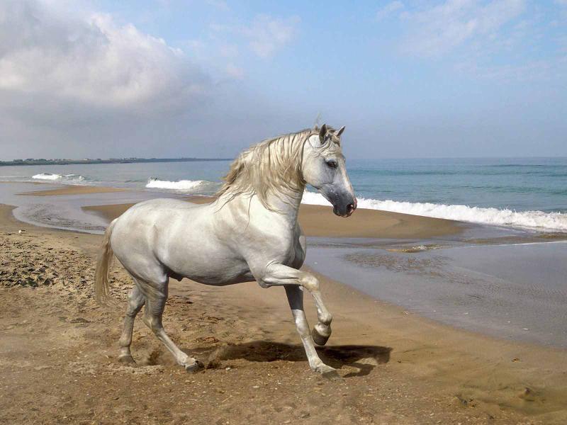 ͼƬ����,ͼ34-ZOL�йش����ߵ�34��