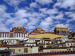 �¿�GPS�������ж�����������;�����ʤ���� 