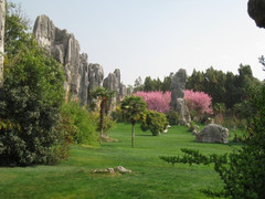 �¿�GPS�������ж�����������;�����ʤ���� 