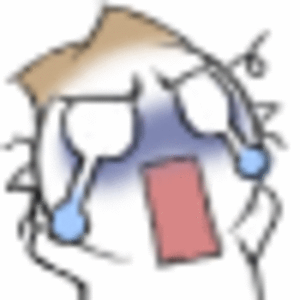 洋葱头表情 最全洋葱头qq表情包下载 (26/75)