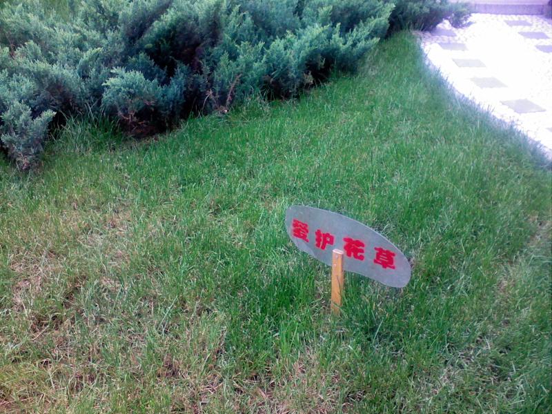 ��Ħ��V3i���� 200����������E788����ͼƬ����,ͼ19-ZOL�йش����ߵ�19��