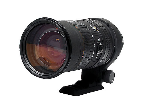 ������Sigma��APO 50-500mm f/4-6.3 EX DG HSMͼƬ���� ��2�� -ZOL�йش����ߵ�2��