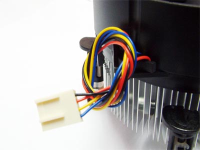 AVC��ɪ��ͼƬ���� ��10�� -ZOL�йش����ߵ�10��