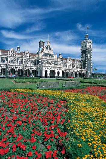 DUNEDIN��S ��ա���7Dʵ��������
