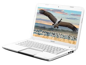 Ůʿ��ѡ ����ɫ ��֥M800-T03W  i3+1G���� ���������ؼ۽���4399