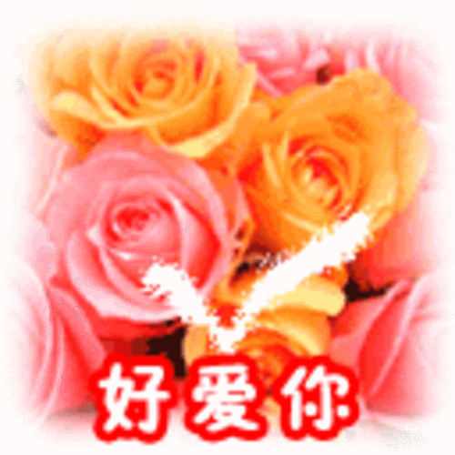 玫瑰qq表情