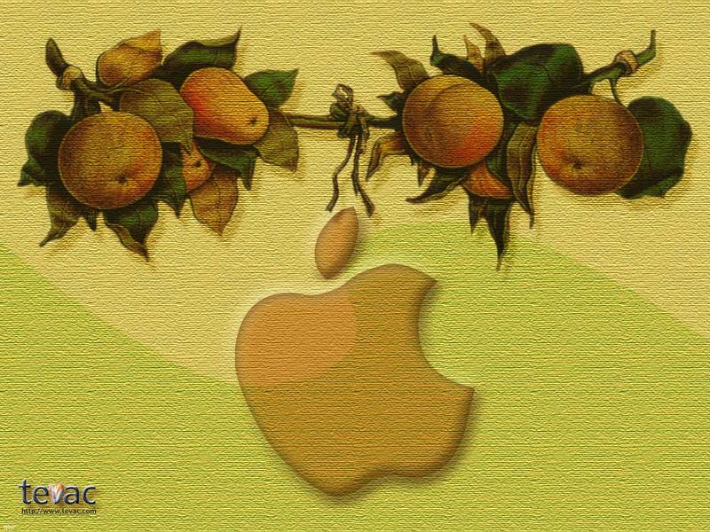MACƻ��1024X768�����������ֽ��ͼƬ����,ͼ2-ZOL�йش����ߵ�2��