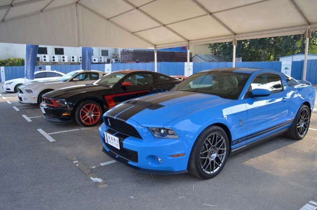 梦到蓝色的眼镜蛇是什么意思?