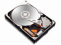 ����DiamondMax Plus10 300GB 7200ת 16M Ӳ��