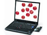 IBM ThinkPad X40 2371BQC