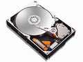 ����320GB Plus10 7200ת 8M������/3��У� Ӳ��