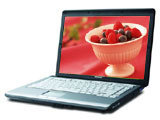 ��֥Satellite L200(L202���)
