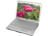戴尔Inspiron 1420(R510410)