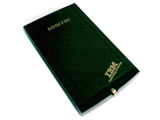IBM SOARROR �����ͣ�100GB)