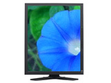 Eizo RadiForce G51