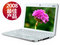 msi΢�� Wind U100-WA16181BH