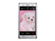 CECT T300