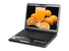 ��֥ M863