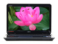 戴尔 Inspiron 灵越 13R(N3010D-268)