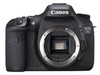 ���� 7D