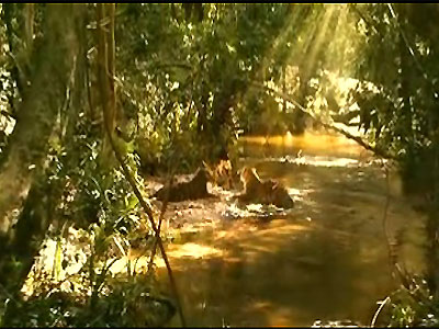 �۹�ʱ�� ATI�ƶ��Կ�7������·�ع� 