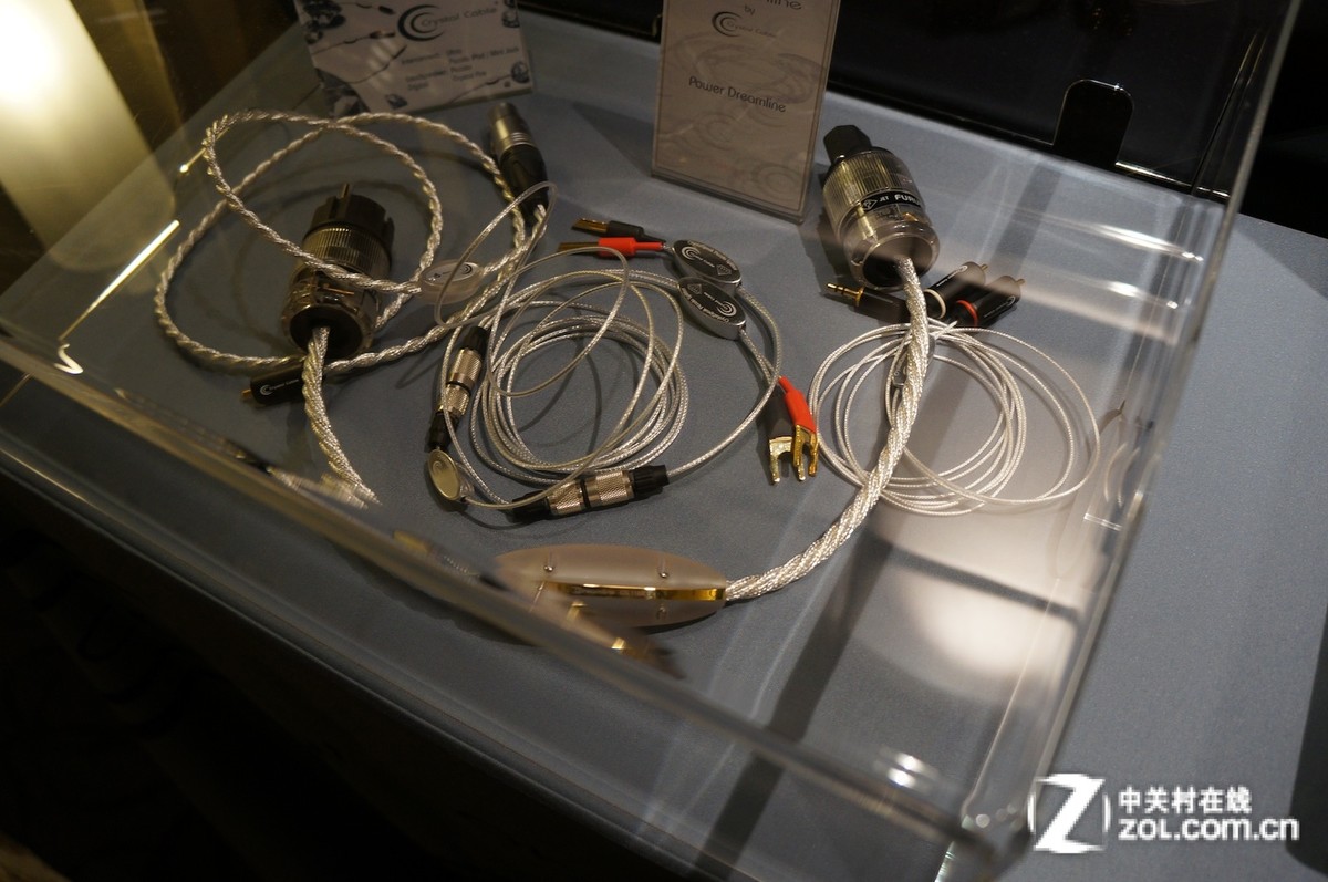 【高清图】 ces2013:siltech玻璃音响亮相本届展会图3