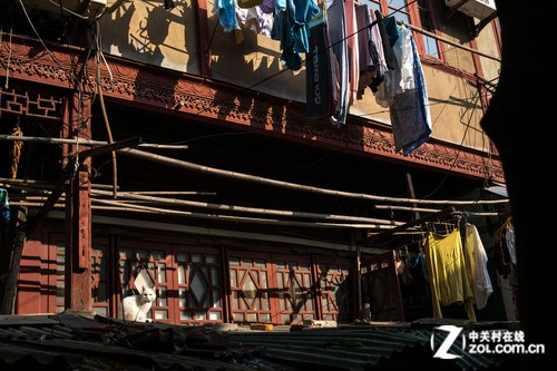 35mm���е��Ϻ� ȫ�������ᡰ�ڿ���RX1 