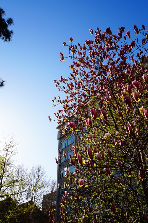 像风一样自由 索尼微单™NEX-3N青春笔记