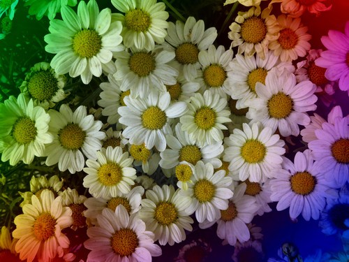 洴Ӱ PowerShot Nٱ 