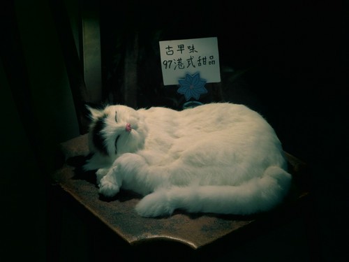 洴Ӱ PowerShot Nٱ 