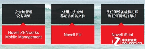 Novell����ȫ�ƶ�����ȫ�����߸���ֵ 