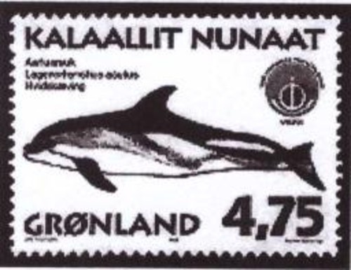 ʡǮ��С���¡� ����M2676Nһ����ײ� 