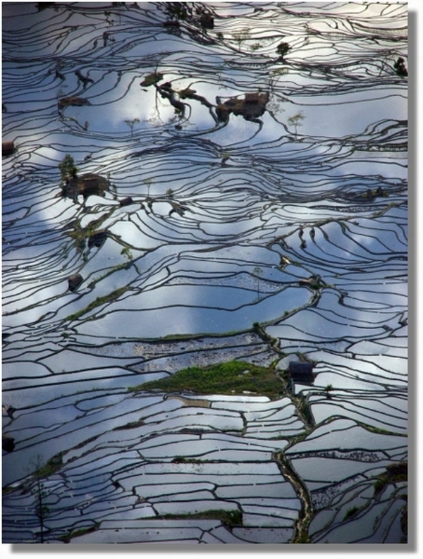 【高清图】 层层叠叠的元阳梯田 沿着山坡直上云天图4