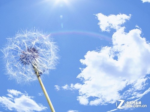 从iPad Air上市 论教育行业的最大公敌