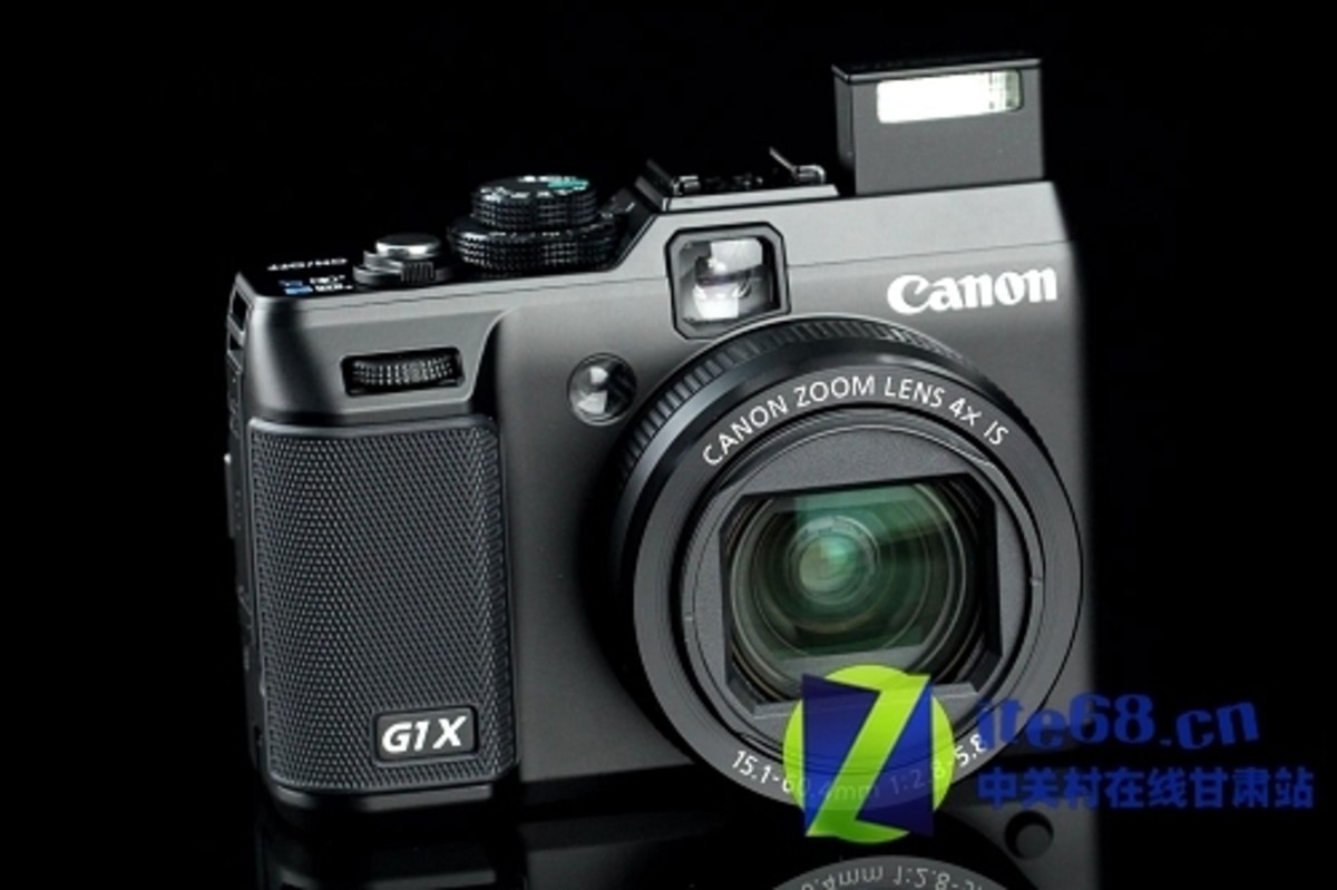【高清图】 精细优美呈现 佳能g1x只需售价3840元图2